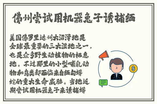 美女露100%双**无遮挡免费